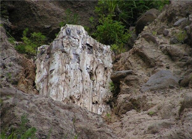 Сизиманский каменный лес