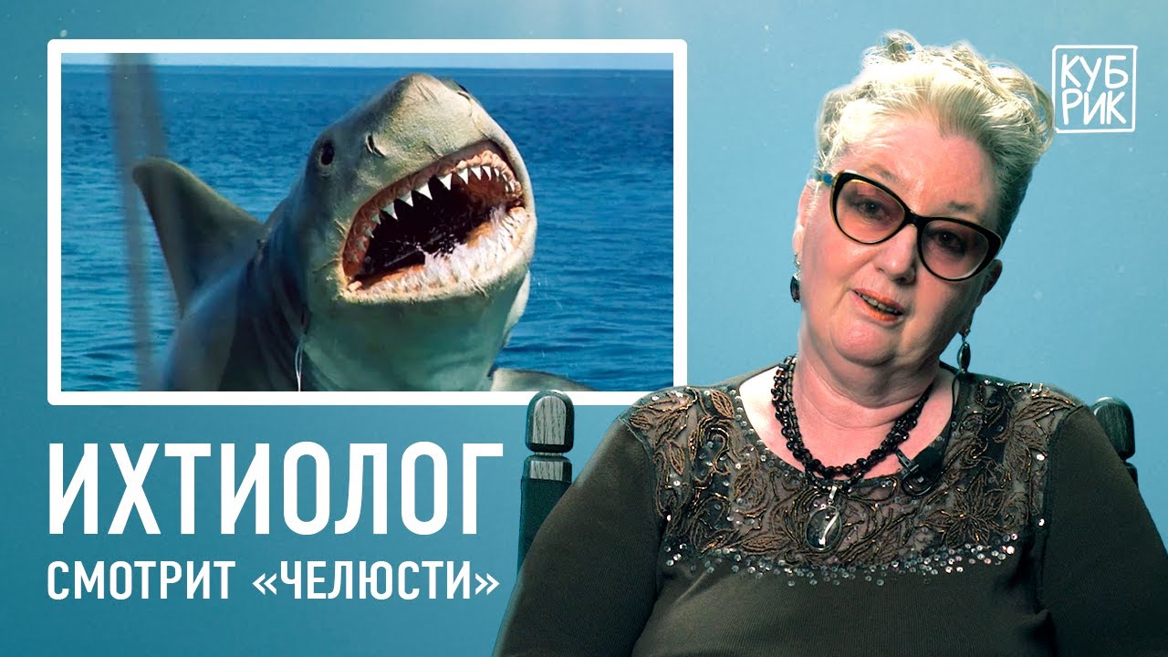 Ихтиолог разбирает сцены из фильмов про акул