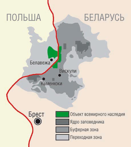 Беловежская пуща на карте